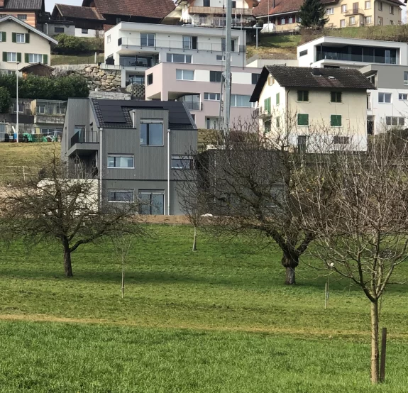 Neubau EFH | Baumgartenweg, 5057 Reitnau